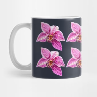 Cymbidium Orchid Pink Flower 3 Mug